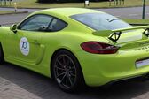 Porsche Cayman (981c) S 3.4 (325 Hp) 2013 - 2016