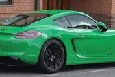 Porsche Cayman (981c) S 3.4 (325 Hp) 2013 - 2016