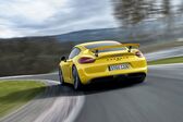 Porsche Cayman (981c) S 3.4 (325 Hp) 2013 - 2016