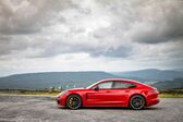 Porsche Panamera (G2 II) Turbo S 4.0 V8 (700 Hp) E-Hybrid PDK 2020 - present