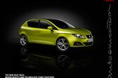 Seat Ibiza IV 1.2 (60 Hp) 2009 - 2012