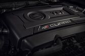 Seat Leon III ST Cupra 2.0 TSI (265 Hp) DSG start/stop 2014 - 2015