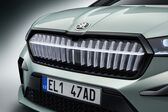 Skoda Enyaq iV 2020 - present