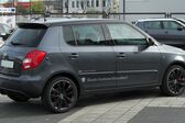 Skoda Fabia II (facelift 2010) 1.6 TDI (105 Hp) CR DPF 2010 - 2014