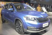 Skoda Kamiq 1.0 TSI (115 Hp) DSG 2019 - present