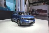 Skoda Kamiq 1.5 TSI (150 Hp) DSG 2019 - present