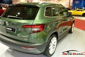 Skoda Karoq 1.0 TSI (116 Hp) Automatic 2017 - present