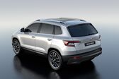 Skoda Karoq 1.0 TSI (116 Hp) Automatic 2017 - present