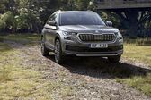 Skoda Kodiaq (facelift 2021) 2.0 TDI (200 Hp) 4x4 DSG 2021 - present