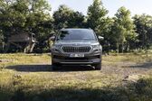 Skoda Kodiaq (facelift 2021) 2.0 TDI (200 Hp) 4x4 DSG 2021 - present