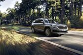 Skoda Kodiaq (facelift 2021) 2.0 TDI (200 Hp) 4x4 DSG 2021 - present