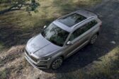 Skoda Kodiaq (facelift 2021) 2.0 TDI (200 Hp) 4x4 DSG 2021 - present