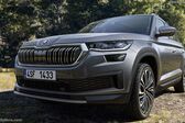 Skoda Kodiaq (facelift 2021) 2.0 TDI (200 Hp) 4x4 DSG 2021 - present