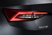 Skoda Kodiaq 2.0 TDI (200 Hp) 4x4 DSG 2020 - 2021