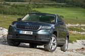 Skoda Kodiaq 2.0 TDI (200 Hp) 4x4 DSG 2020 - 2021