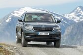 Skoda Kodiaq 2.0 TSI (190 Hp) 4x4 DSG 2019 - 2021