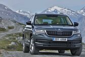 Skoda Kodiaq 1.5 TSI (150 Hp) 2018 - 2021