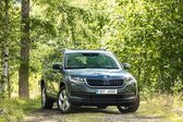 Skoda Kodiaq 2.0 TSI (190 Hp) 4x4 DSG 2019 - 2021