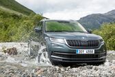 Skoda Kodiaq 2.0 TDI (200 Hp) 4x4 DSG 2020 - 2021