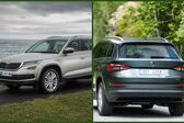 Skoda Kodiaq 2.0 TDI (177 Hp) 4x4 DSG 2018 - 2021