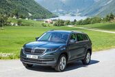 Skoda Kodiaq 2.0 TSI (190 Hp) 4x4 DSG 2019 - 2021