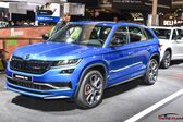 Skoda Kodiaq 2.0 TDI (177 Hp) 4x4 DSG 2018 - 2021