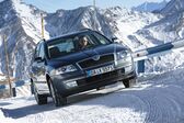 Skoda Octavia II Combi 2.0 TDI (140 Hp) 2004 - 2008