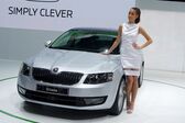 Skoda Octavia III RS 2.0 TSI (220 Hp) 2013 - 2017