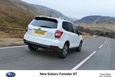 Subaru Forester IV (facelift 2016) Platinum 2.0i (150 Hp) AWD Lineartronic 2016 - 2018