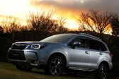 Subaru Forester IV 2.0 (150 Hp) CVT 4WD 2012 - 2015