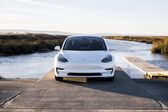 Tesla Model 3 Performance (513 Hp) AWD 2019 - present