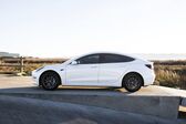Tesla Model 3 Performance (513 Hp) AWD 2019 - present