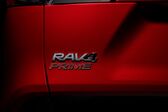 Toyota RAV4 V 2.5 D-4S (306 Hp) Plug-in Hybrid AWD-i Automatic 2020 - present