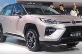 Toyota Wildlander 2.5L (222 Hp) Hybrid E-FOUR E-CVT 2019 - present