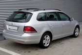 Volkswagen Golf VI Variant 1.2 (105 Hp) TSI 2009 - 2013