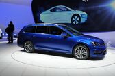 Volkswagen Golf VII Variant 1.2 TSI (110 Hp) DSG 2014 - 2017