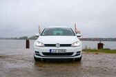 Volkswagen Golf VII Variant 1.4 TGI (110 Hp) BlueMotion DSG 2013 - 2017