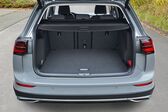 Volkswagen Golf VIII Alltrack 2.0 TDI (200 Hp) 4MOTION DSG 2020 - present