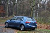 Volkswagen Golf VII 1.6 TDI (105 Hp) DSG 2012 - 2014