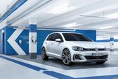 Volkswagen Golf VII (facelift 2017) 1.5 TGI (130 Hp) DSG 2019 - 2019