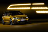Volkswagen Golf VII (facelift 2017) 2017 - 2019