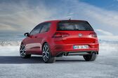 Volkswagen Golf VII (facelift 2017) R 2.0 TSI (310 Hp) 4MOTION DSG 2017 - 2018