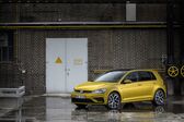 Volkswagen Golf VII (facelift 2017) 2017 - 2019