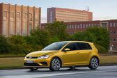 Volkswagen Golf VII (facelift 2017) 1.4 TGI (110 Hp) Blue Motion DGS 2017 - 2018