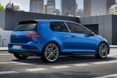 Volkswagen Golf VII (facelift 2017) GTI Performance 2.0 TSI (245 Hp) 2017 - 2018