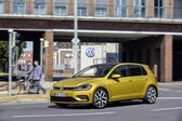 Volkswagen Golf VII (facelift 2017) 1.4 TGI (110 Hp) Blue Motion DGS 2017 - 2018