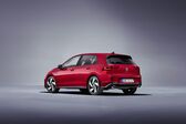 Volkswagen Golf VIII 2.0 TDI (115 Hp) 2020 - present