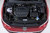 Volkswagen Golf VIII GTI 2.0 TSI (245 Hp) 2020 - present