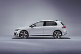 Volkswagen Golf VIII 2.0 TDI (150 Hp) 2020 - present