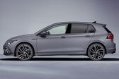 Volkswagen Golf VIII 2.0 TDI (115 Hp) 2020 - present